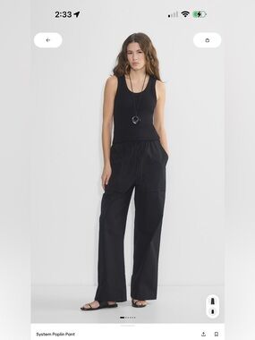 Aritzia Babaton System Poplin Pant
